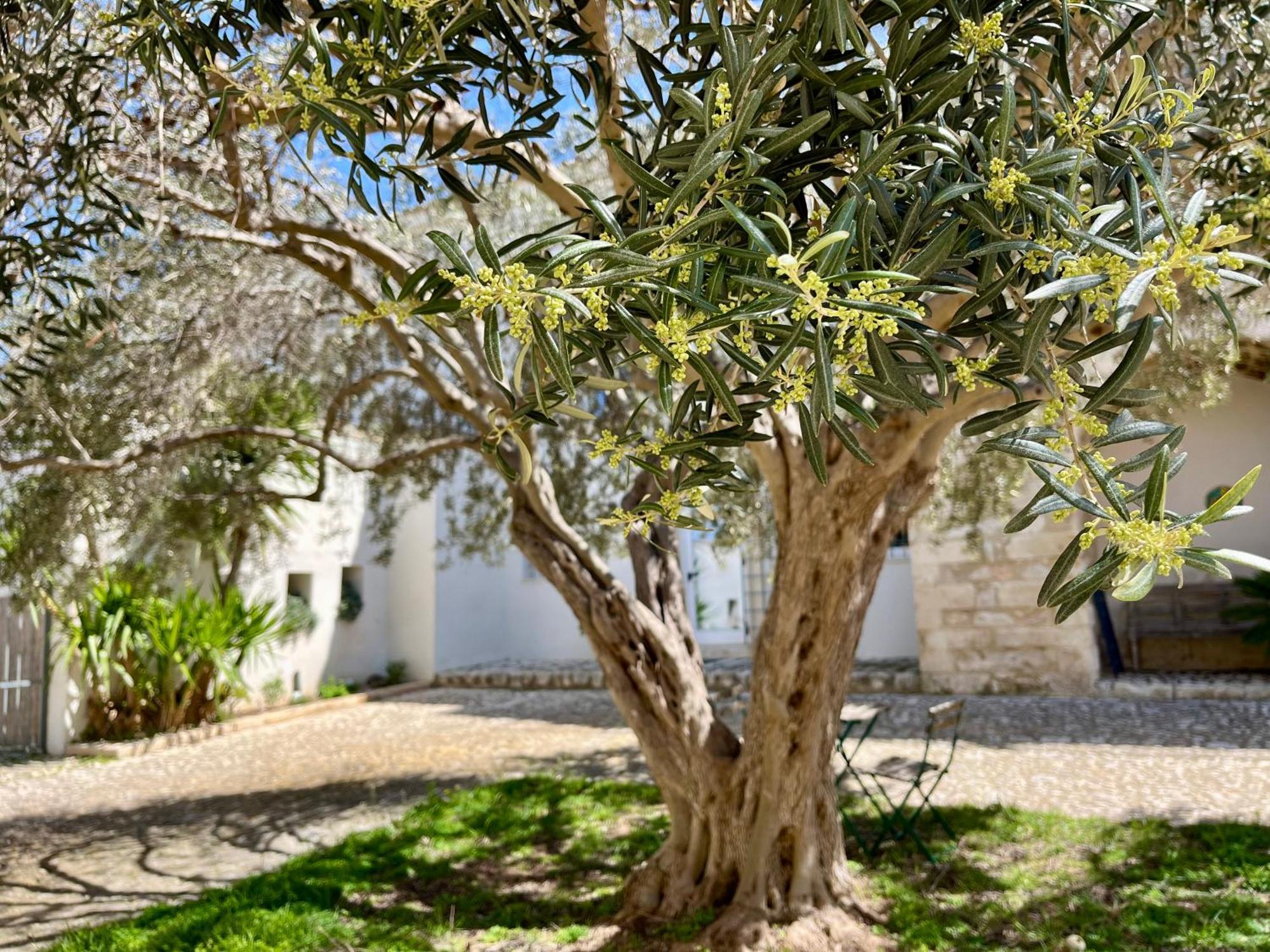 Dimora Di Dante Bed & Breakfast Chiaramonte Gulfi Dış mekan fotoğraf